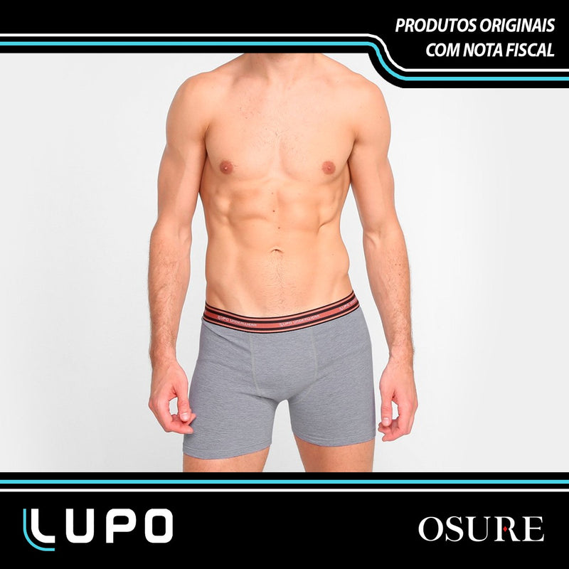 Kit 10 Cuecas Boxer Lupo Cueca Box Algodão Masculina Atacado